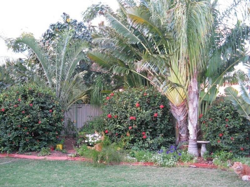 90 Bottlebrush Crescent, South Hedland WA 6722