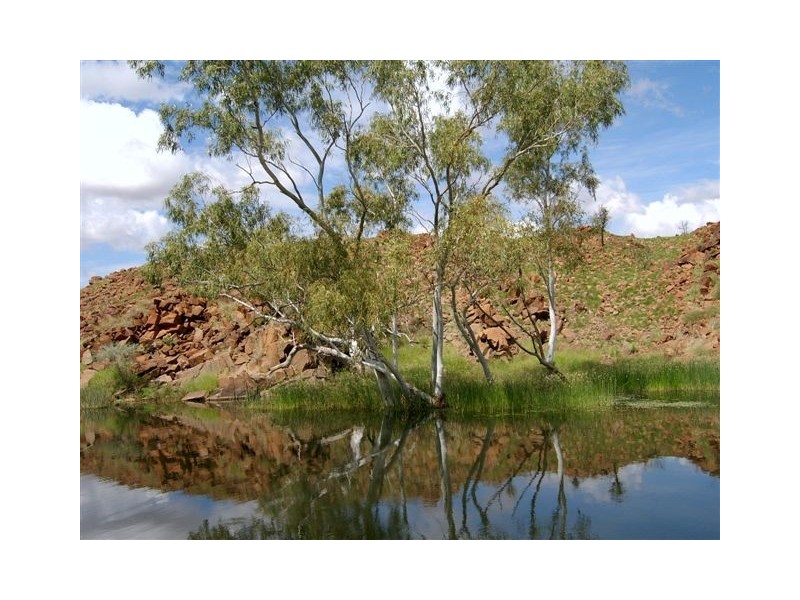 3 Massingham Street, Nullagine WA 6758