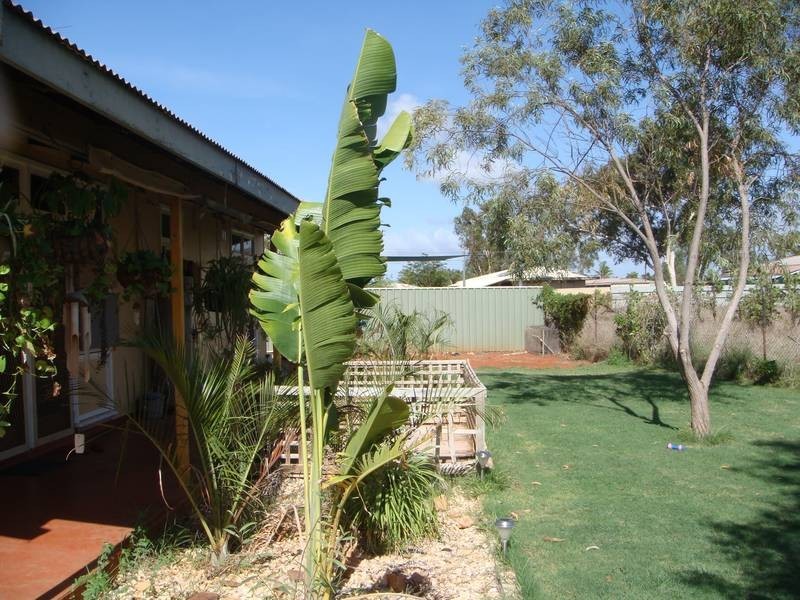 7 Catamore Court, South Hedland WA 6722