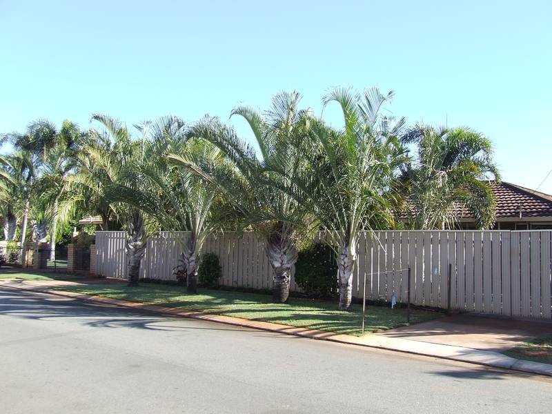 9 Lovell Place, South Hedland WA 6722