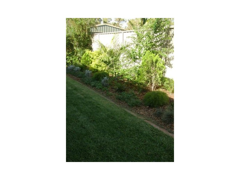 12 Tjilla Street, Newman WA 6753