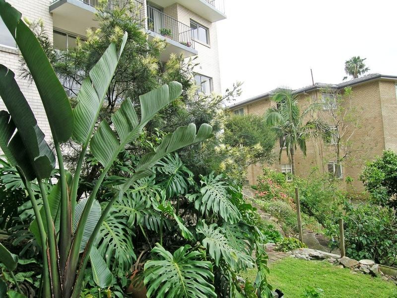 3/1 Billong Street, Neutral Bay NSW 2089