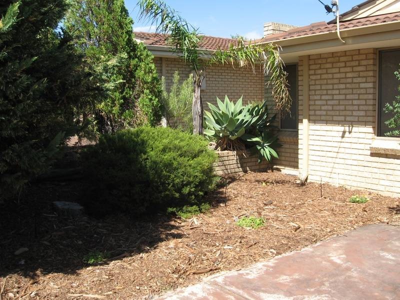 71C Gilbertson Road, Kardinya WA 6163