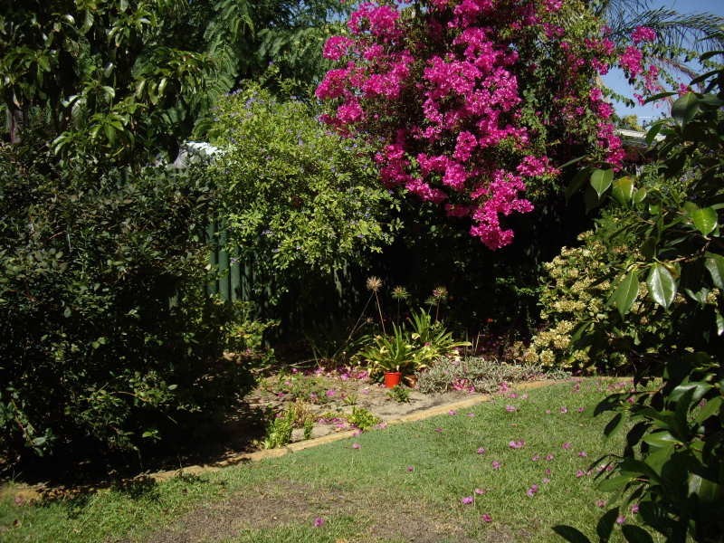 28 Broadhurst Crescent, Bateman WA 6150