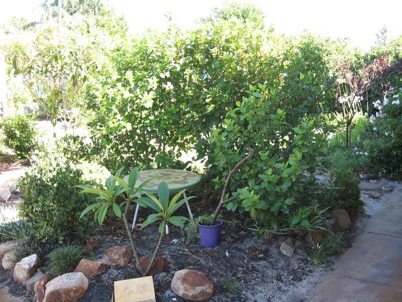 43 Bass Road, Bull Creek WA 6149