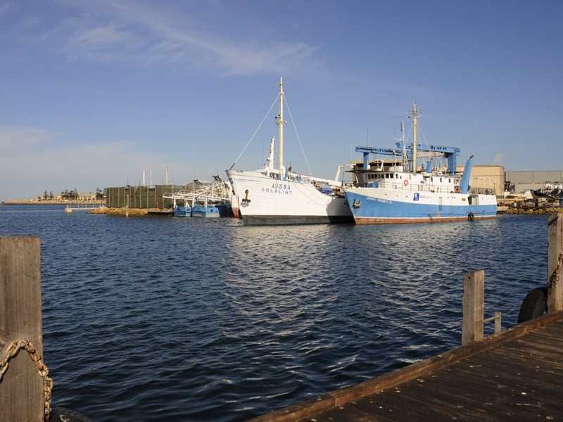 A/10 Grey Street, Fremantle WA 6160