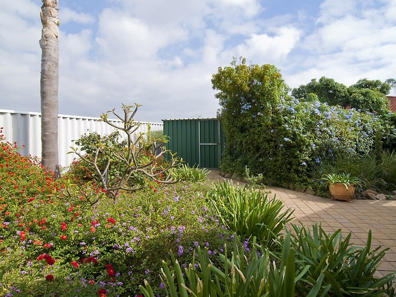 11 Evergreen Court, Leeming WA 6149