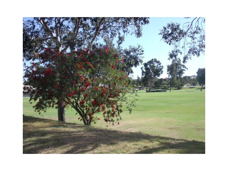 61 Dean Road, Bateman WA 6150