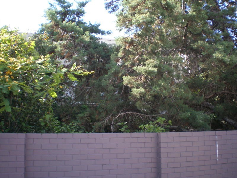 2/718 Canning Highway, Applecross WA 6153