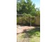 5 Nurdie Way, Riverton WA 6148