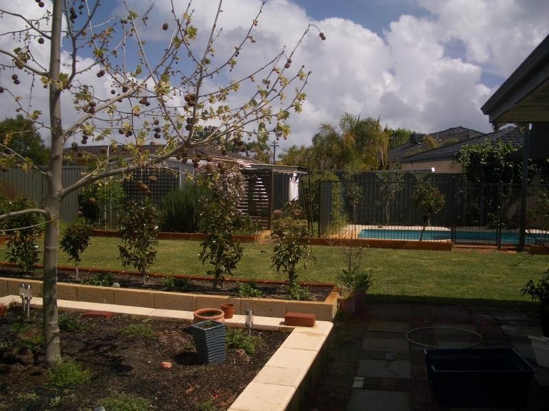 14 Electra Street, Bateman WA 6150