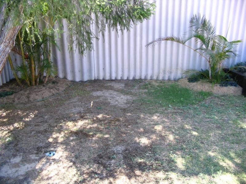 1B Pine Grove, Kardinya WA 6163
