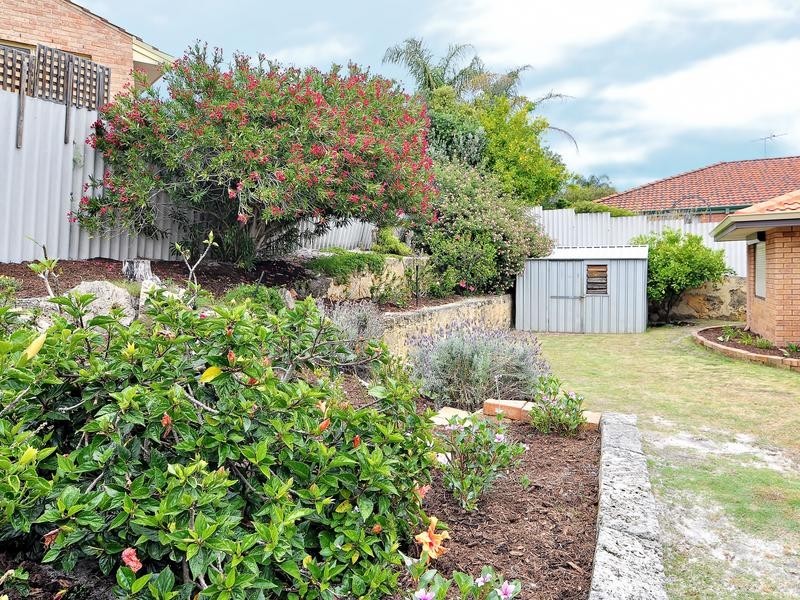 22 Shelton Loop, Leeming WA 6149