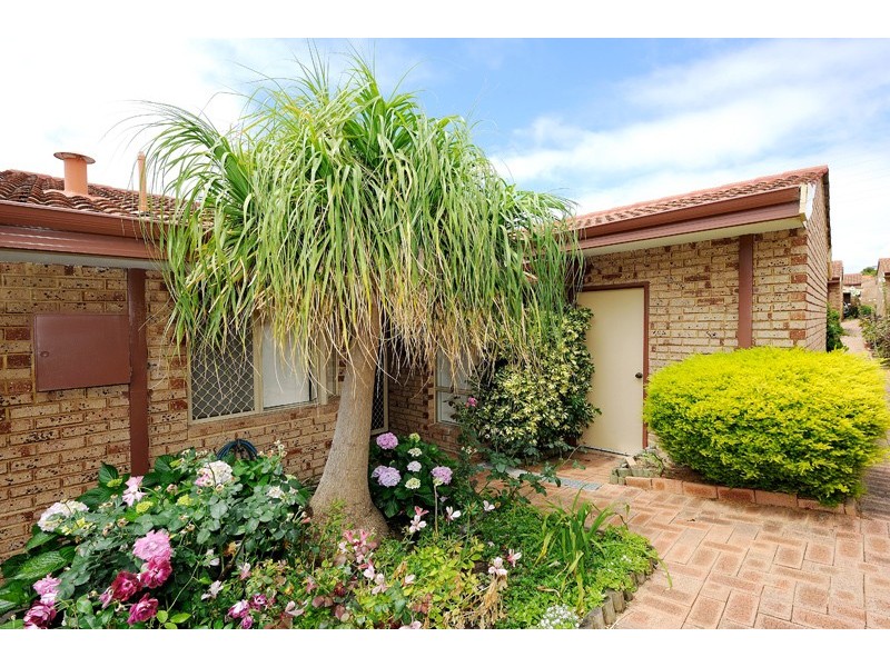 32/11 Petterson Avenue, Kardinya WA 6163