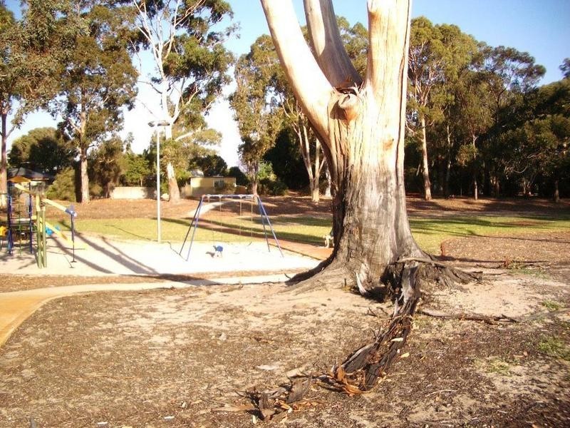 44 Oberthur Crescent, Bull Creek WA 6149