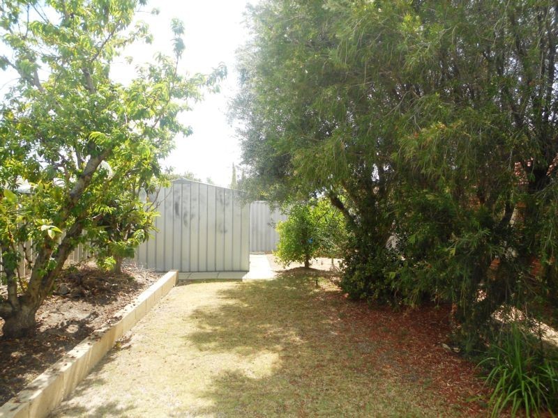 167 Yangebup Road, Yangebup WA 6164
