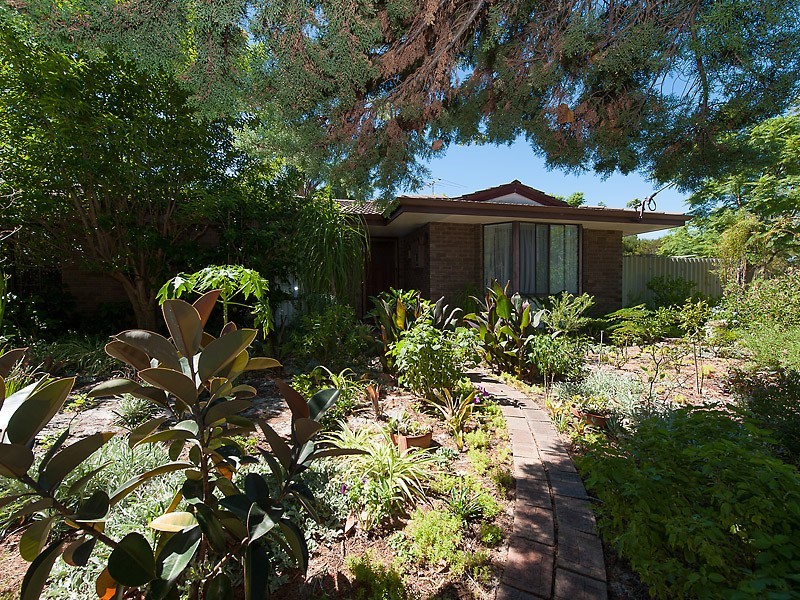 56 Jasmine Loop, Willetton WA 6155