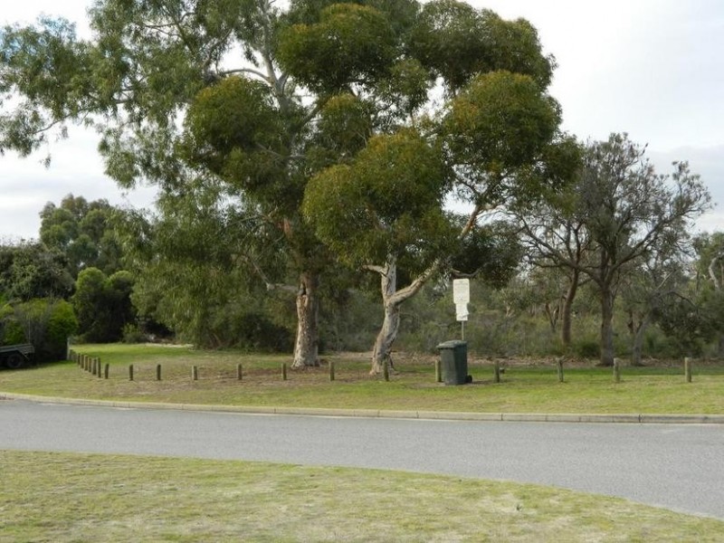 7 Sentinel Gardens, Leeming WA 6149