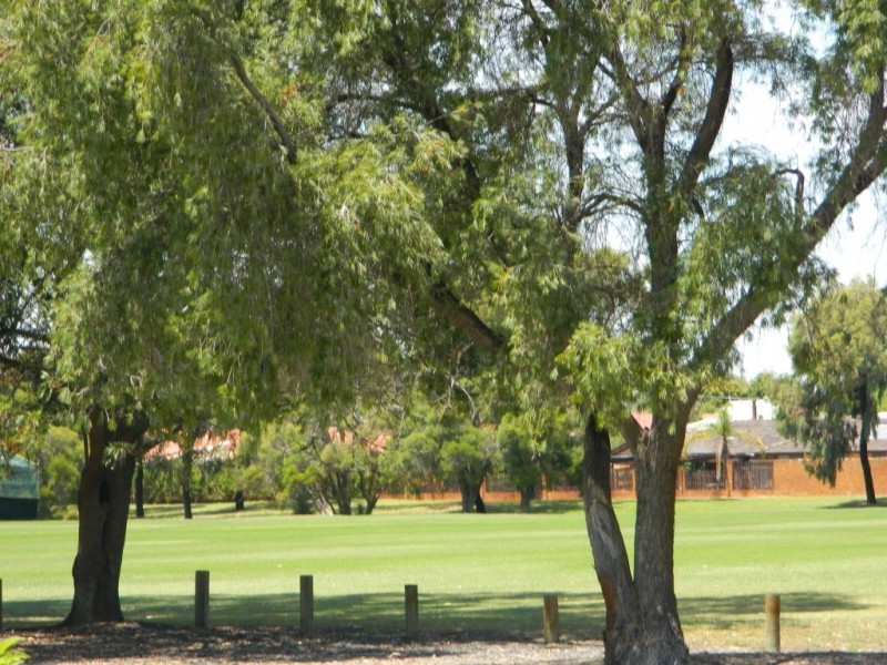 5 Bray Court, Bateman WA 6150