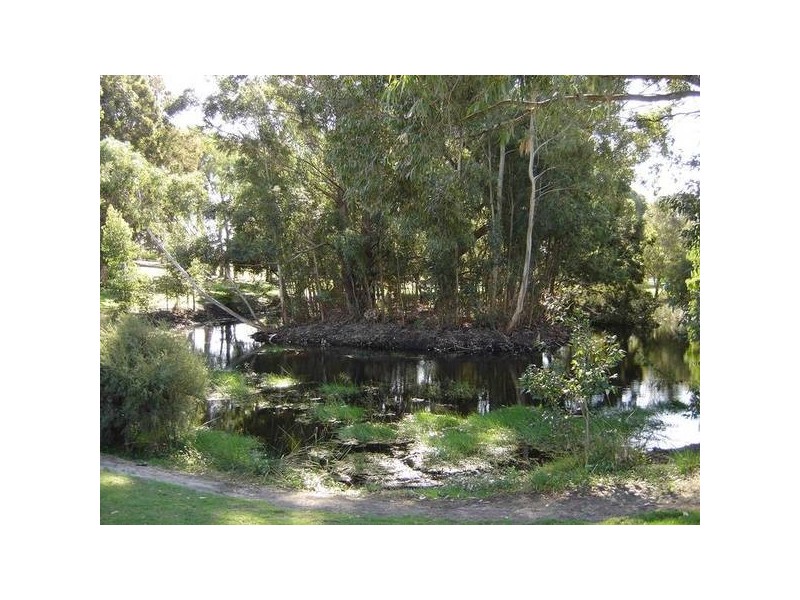 16 Cormorant Cross, Willetton WA 6155