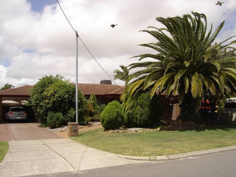 6 Scythe Street, Willetton WA 6155