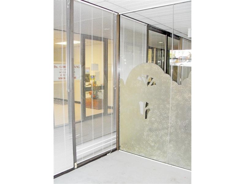 Suite 6/600 Military Road, Mosman NSW 2088