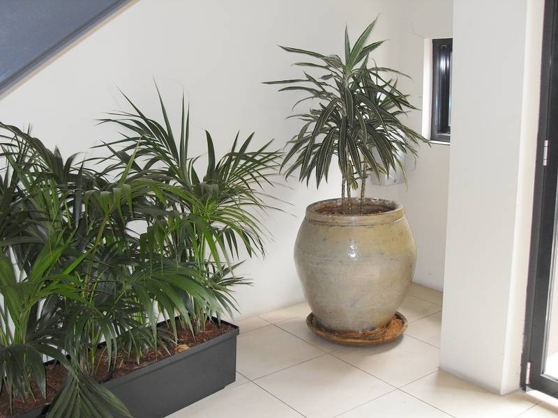 5/81-85 Great North Road, Five Dock NSW 2046