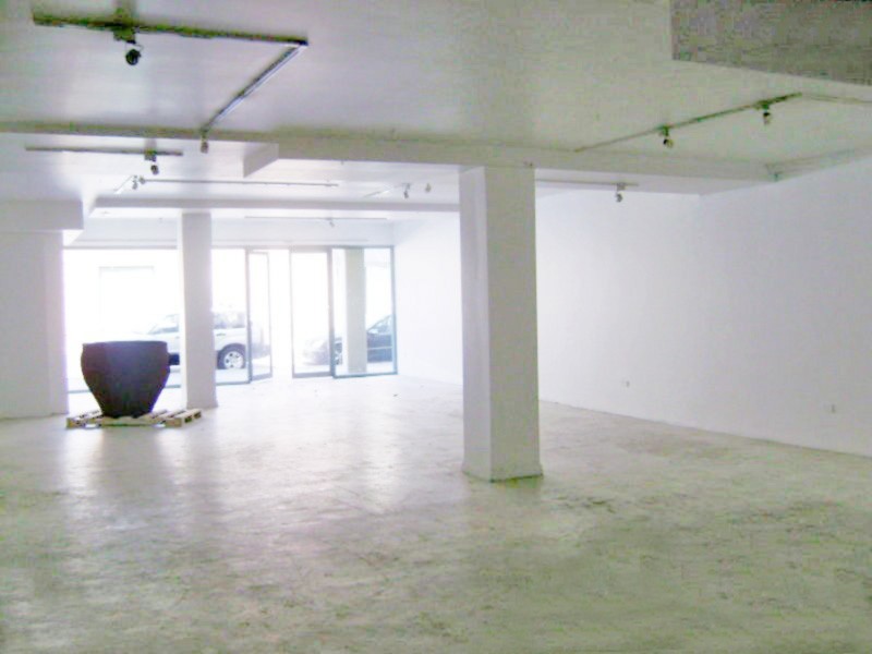 58 Harbour Street, Mosman NSW 2088