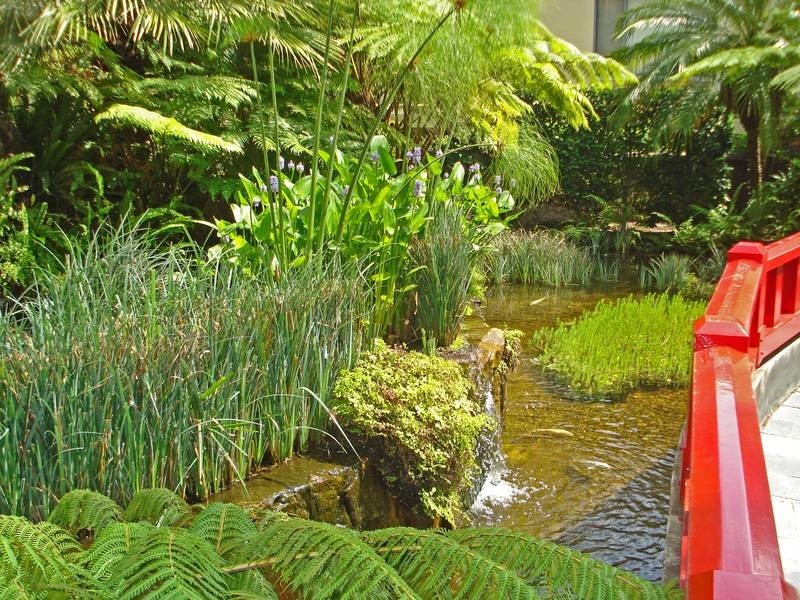 34/1 Amherst Street, Cammeray NSW 2062