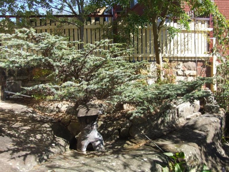 1A McBurney Street, Naremburn NSW 2065