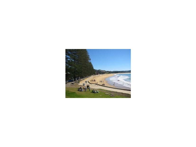224 Terrigal Drive, Terrigal NSW 2260
