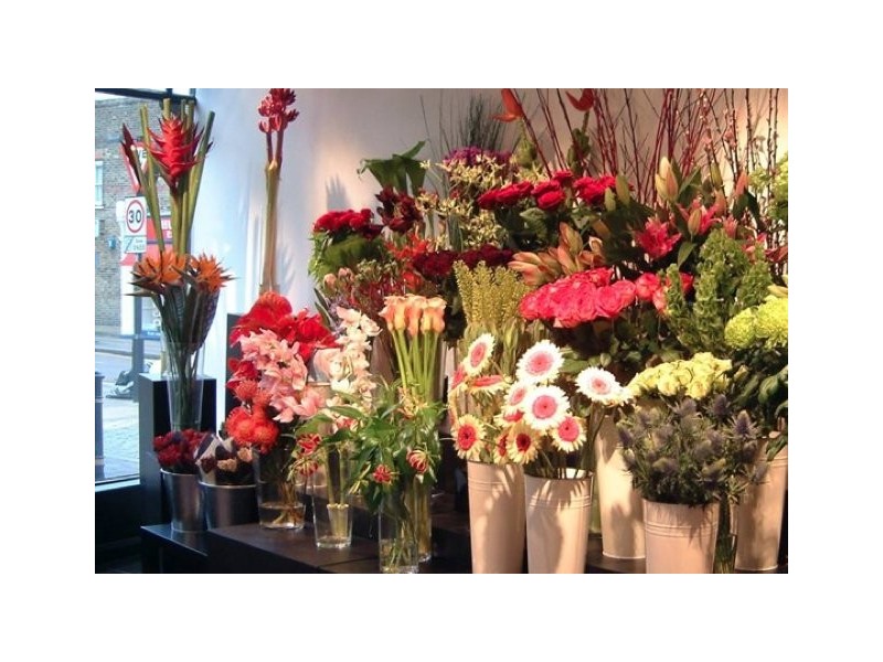 118 Willoughby Road, Crows Nest NSW 2065