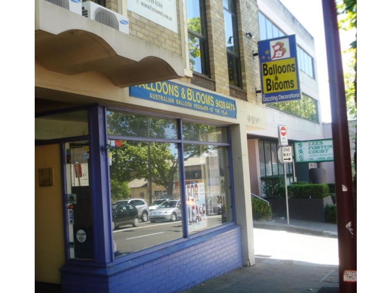 20 Falcon Street, Crows Nest NSW 2065