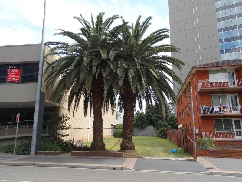 4 Hassall Street, Parramatta NSW 2150