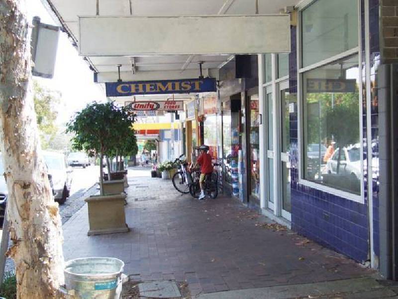 62A Avenue Road, Mosman NSW 2088