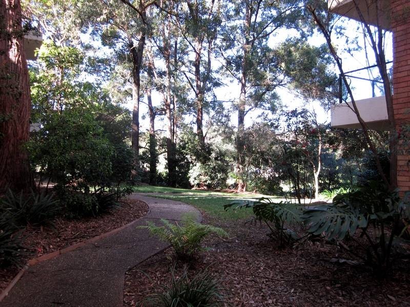 46/25A Marks Avenue, Naremburn NSW 2065