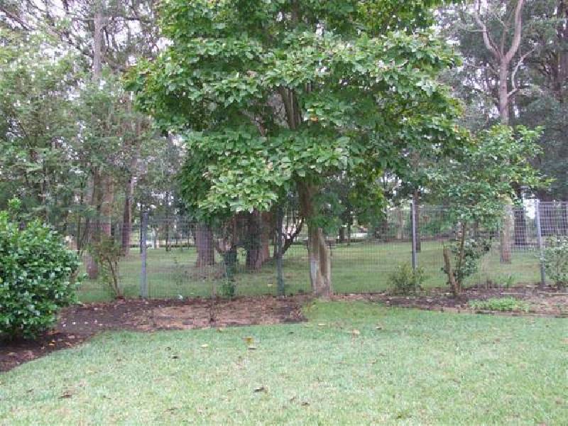 3 Wilfred Street, Chatswood NSW 2067