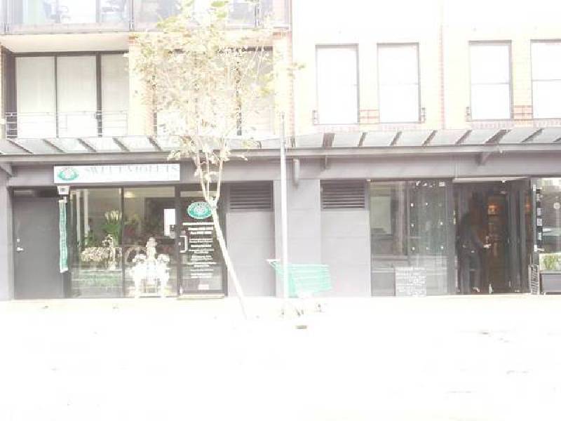 Suite 2/236 Pacific Highway, Crows Nest NSW 2065