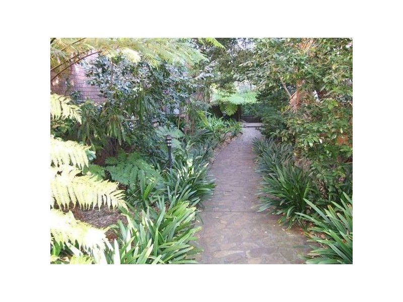 Belmont Avenue, Wollstonecraft NSW 2065