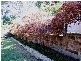 Wollstonecraft NSW 2065