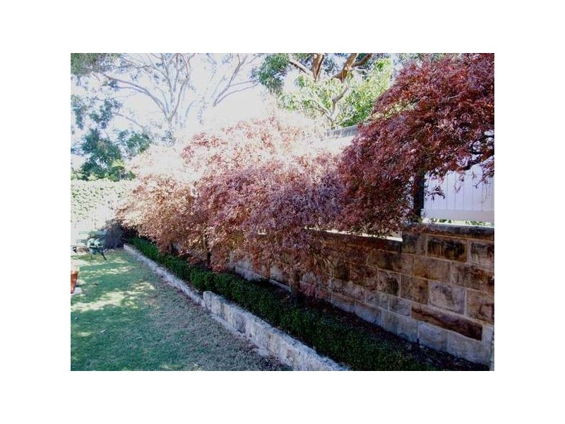 Wollstonecraft NSW 2065