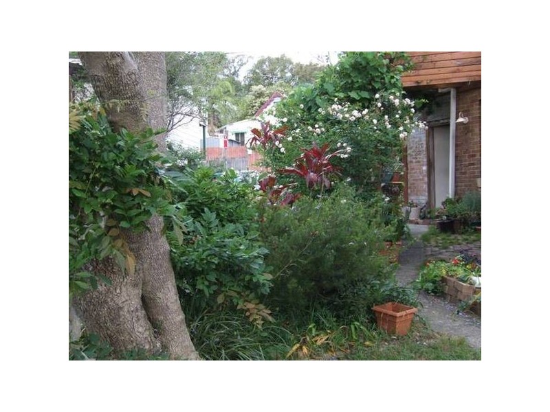 2A Union Street, Mcmahons Point NSW 2060