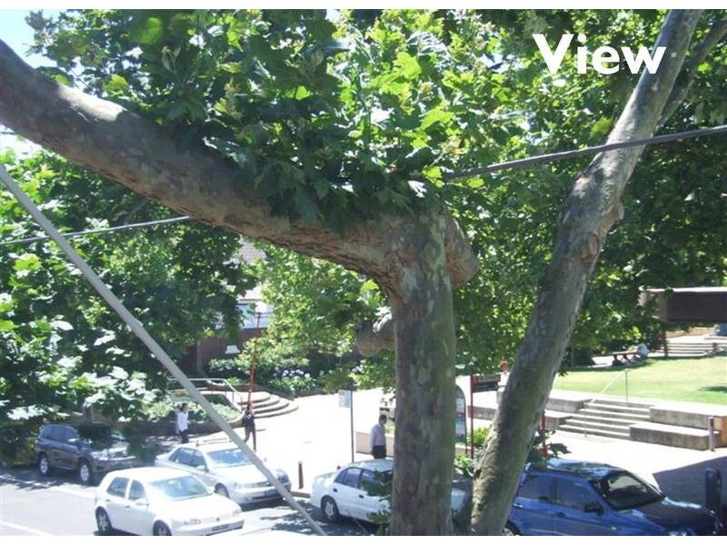 1/58 Willoughby Road, Crows Nest NSW 2065