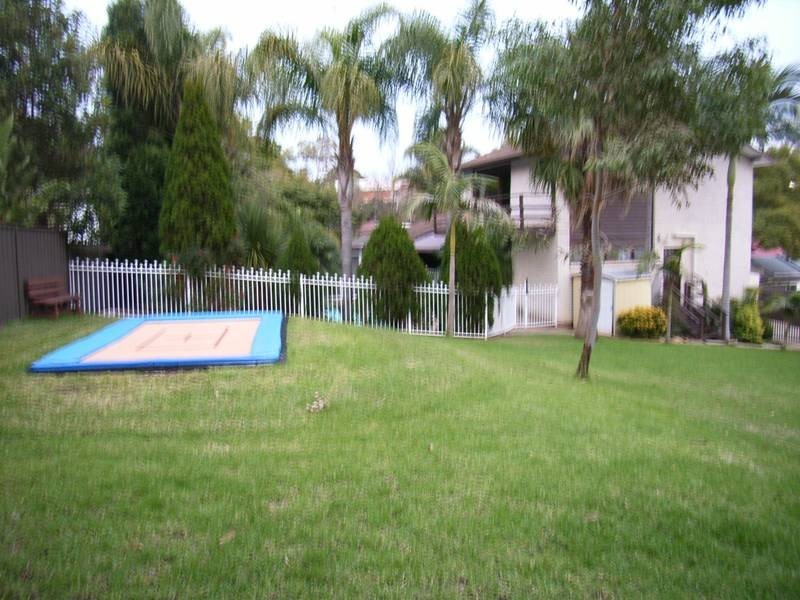 16 Doctor Lawson Drive, Rooty Hill NSW 2766