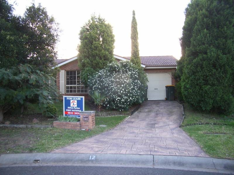 12 Teuma Place, Glendenning NSW 2761