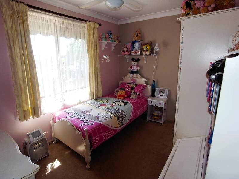 12 Carpenter Place, Minchinbury NSW 2770