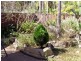 Lethbridge Park NSW 2770