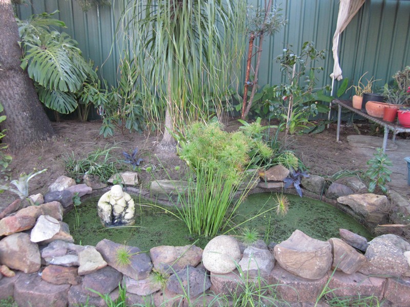 17 Glenn Street, Dean Park NSW 2761