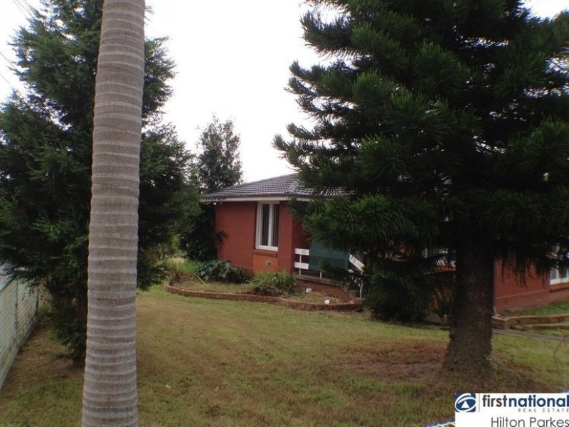 17 Richardson Crescent, Hebersham NSW 2770