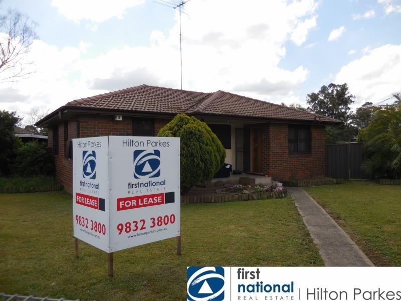 16 Riddell Cres, Blackett NSW 2770